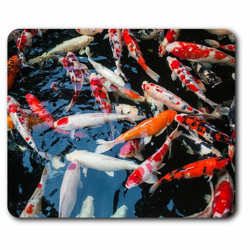 Computer mouse mat koi - mouse,
