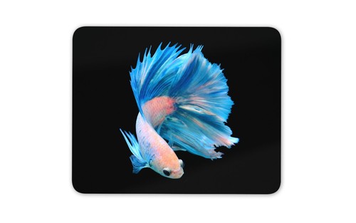 Japanese fighting fish mouse - japanese,